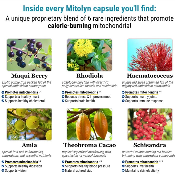 Mitolyn Reviews and Complaints: Honest 2026 User Report